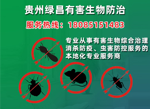 绿昌黔东南苗族侗族自治州线上分站